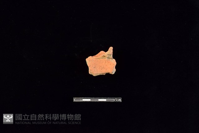 連杯形器藏品圖，第1張