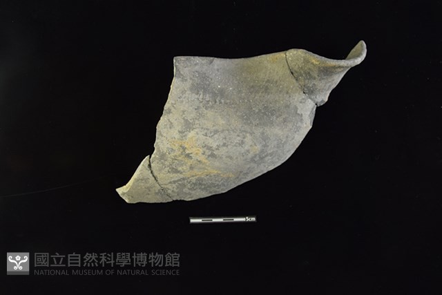 陶罐藏品圖，第1張