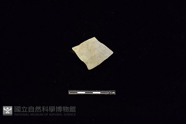 陶片藏品圖，第1張
