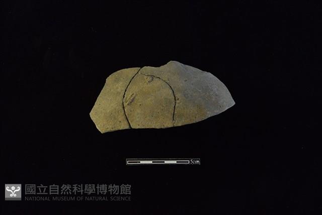 陶片藏品圖，第1張