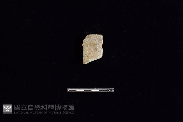 陶罐藏品圖，第1張