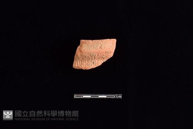 陶罐藏品圖，第1張