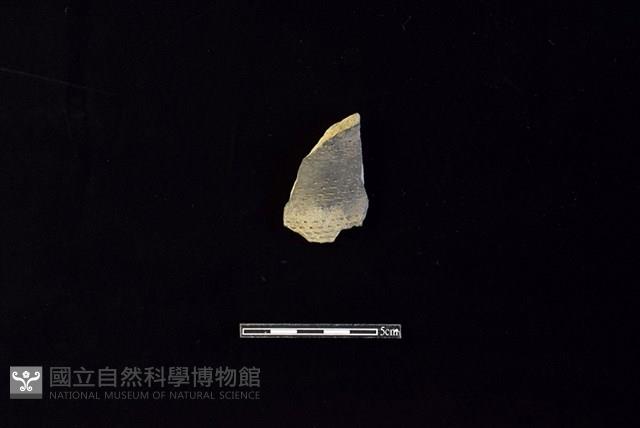 陶罐藏品圖，第1張