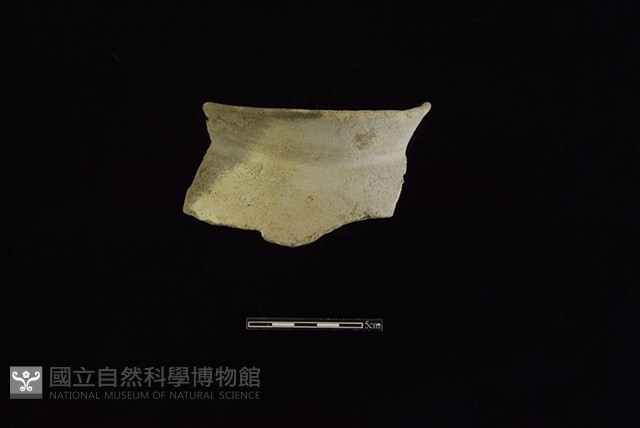 陶罐藏品圖，第1張