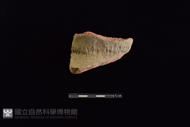 陶罐藏品圖，第1張