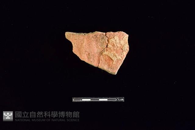 陶片藏品圖，第1張