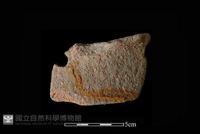 陶片藏品圖，第1張