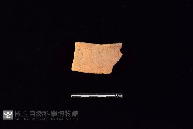 陶片藏品圖，第1張