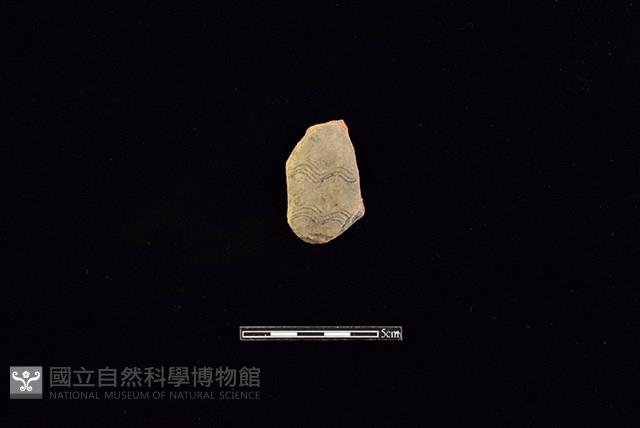 陶片藏品圖，第1張