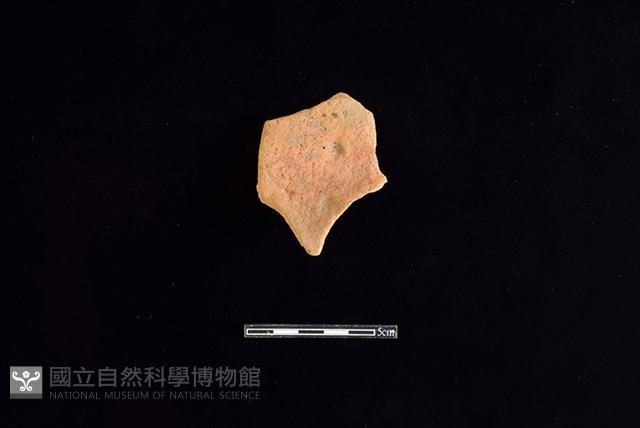 連杯形器藏品圖，第1張