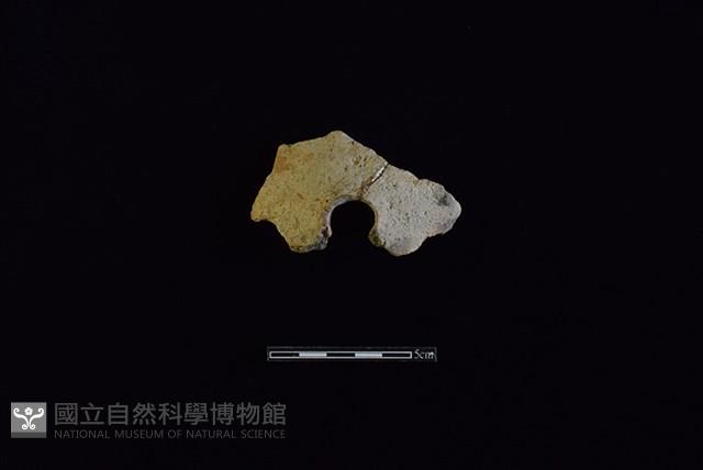 陶甑藏品圖，第1張