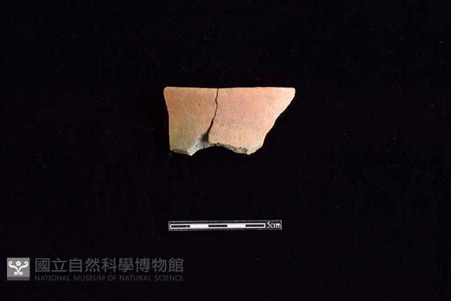 陶罐藏品圖，第1張