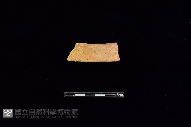 陶片藏品圖，第1張