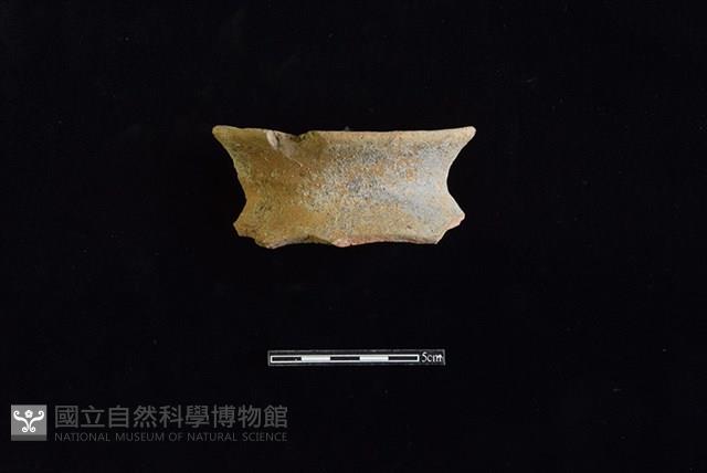 陶罐藏品圖，第1張