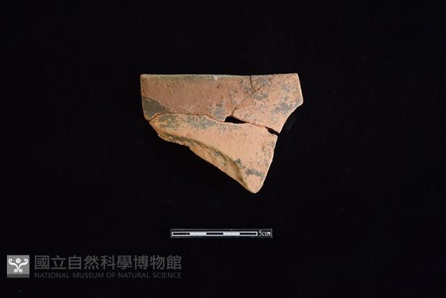 陶罐藏品圖，第1張