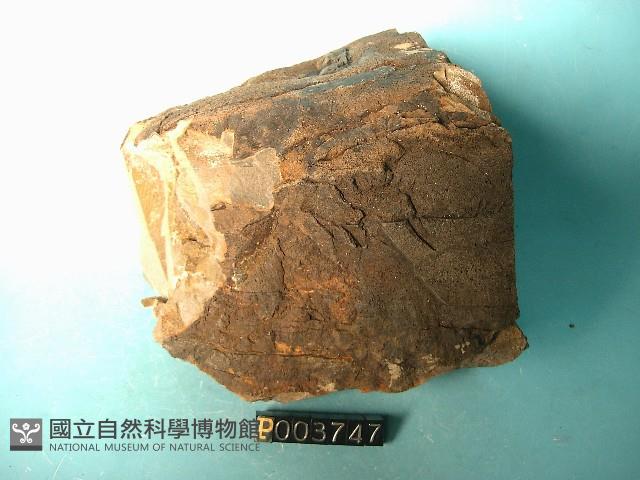 煌斑岩藏品圖，第3張
