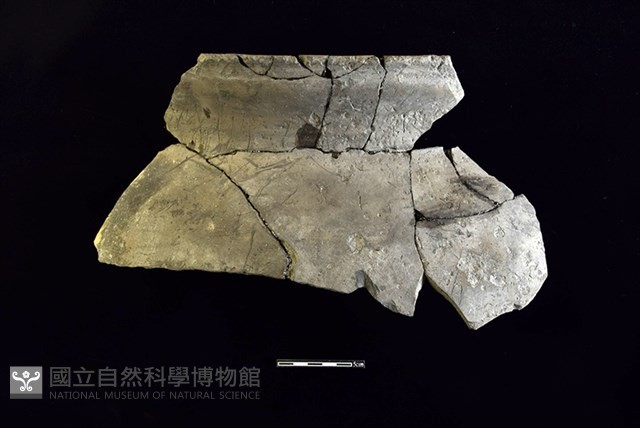 陶罐藏品圖，第1張