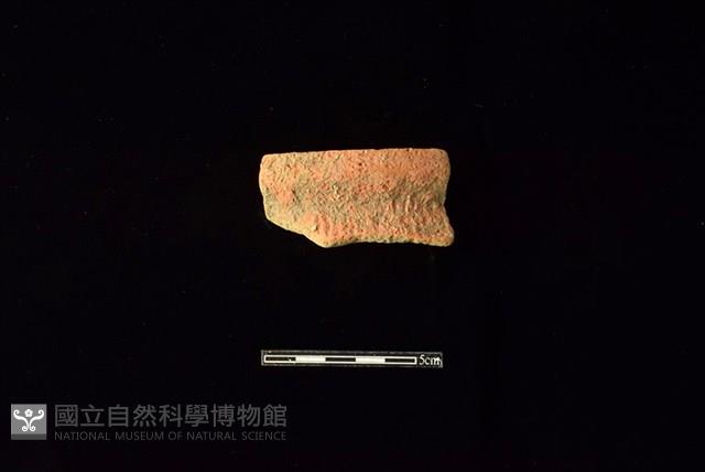 陶罐藏品圖，第1張