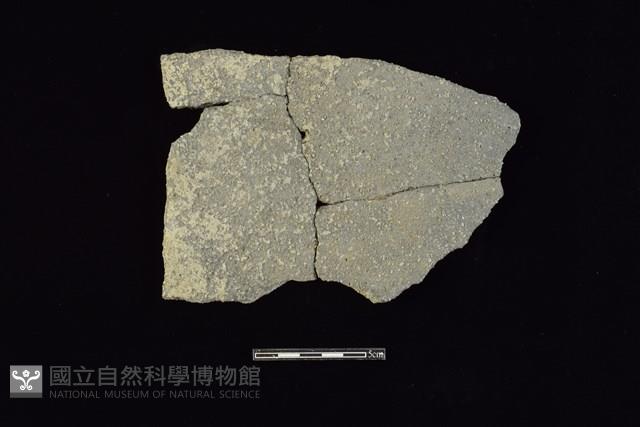 陶片藏品圖，第1張