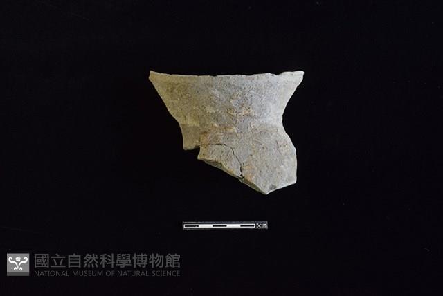 陶罐藏品圖，第1張