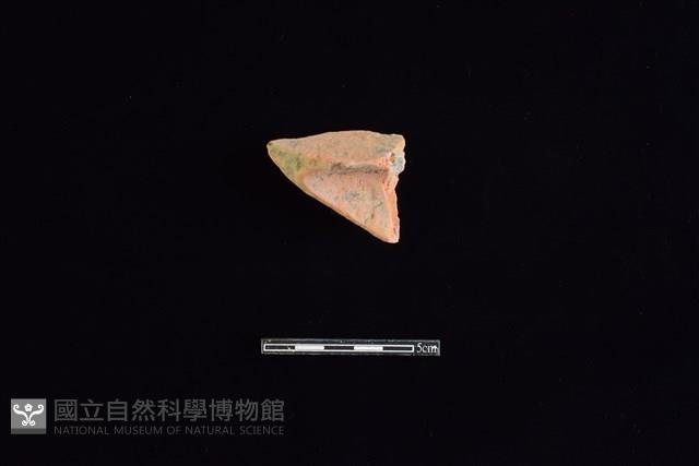 Accession Number:HLL-L-PT0187 Collection Image, Figure 1, Total 2 Figures