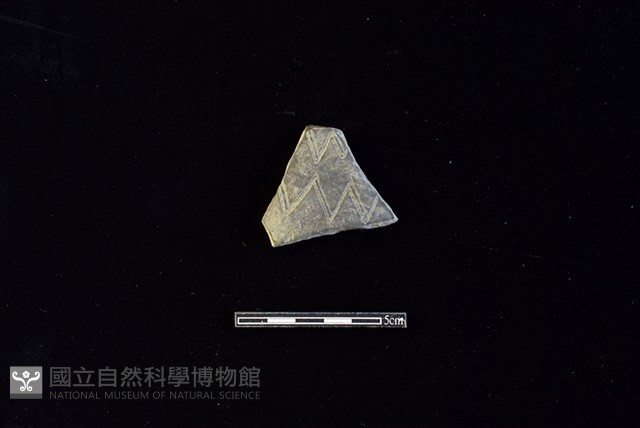 陶片藏品圖，第1張