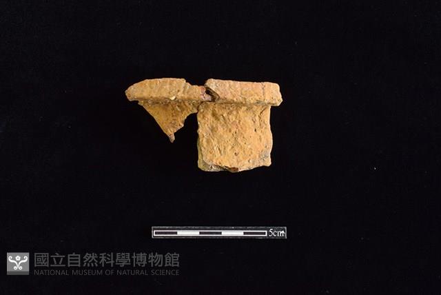 Accession Number:HLL-J PT1487 Collection Image, Figure 1, Total 2 Figures