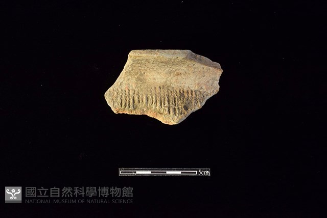 陶罐藏品圖，第1張