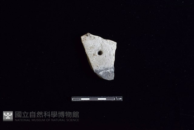 陶片藏品圖，第1張