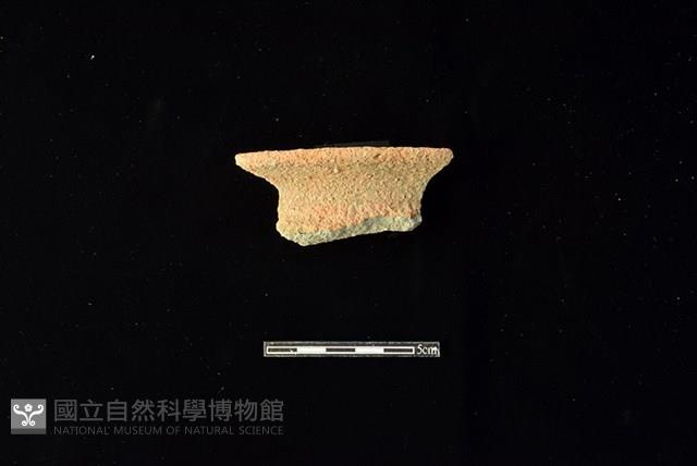 陶罐藏品圖，第1張