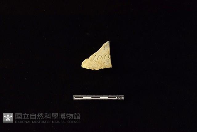 陶片藏品圖，第1張