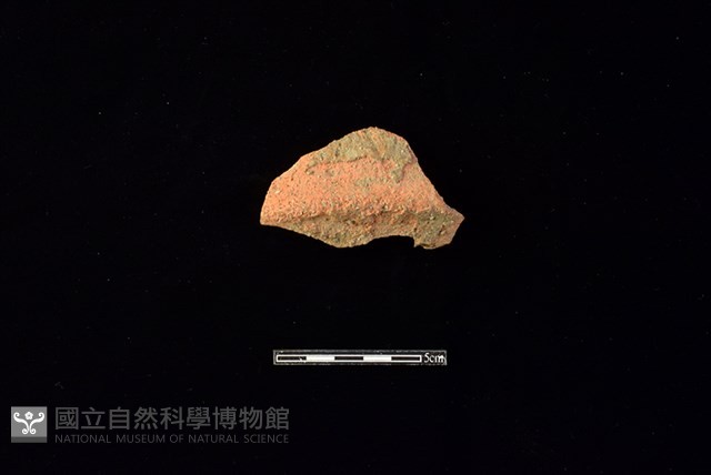陶片藏品圖，第1張