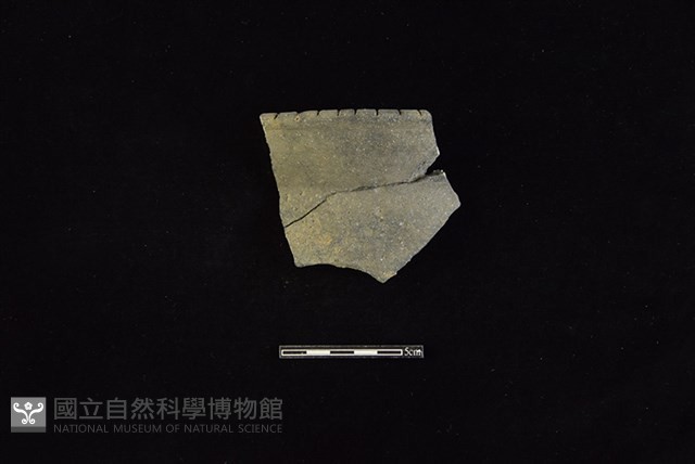 陶罐藏品圖，第1張
