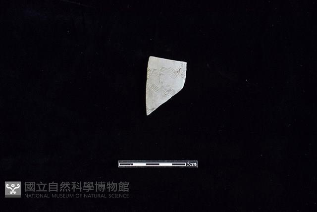 陶片藏品圖，第1張