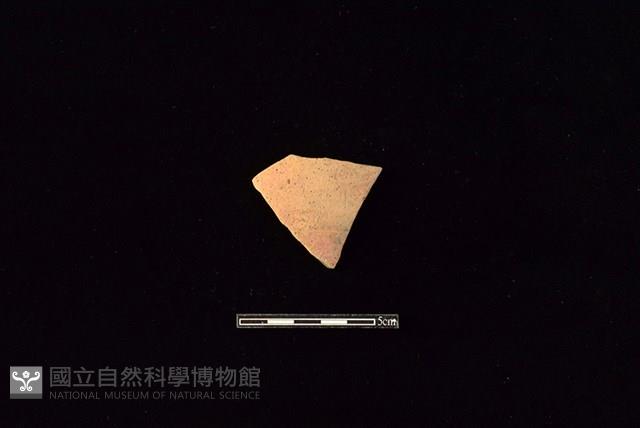 陶片藏品圖，第1張