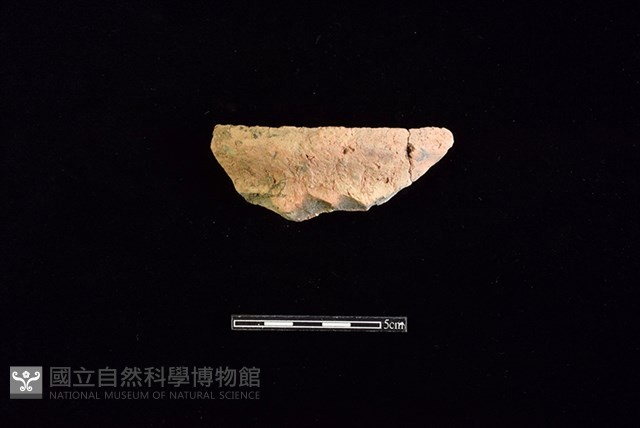 陶罐藏品圖，第1張