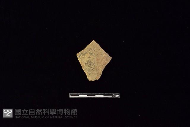 陶片藏品圖，第1張