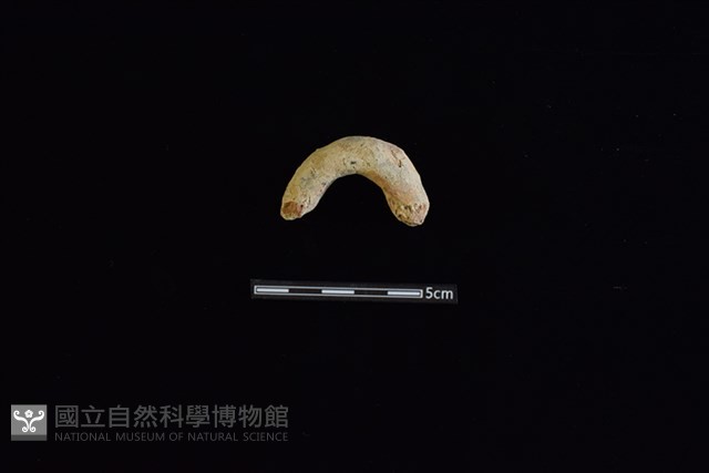陶把藏品圖，第1張