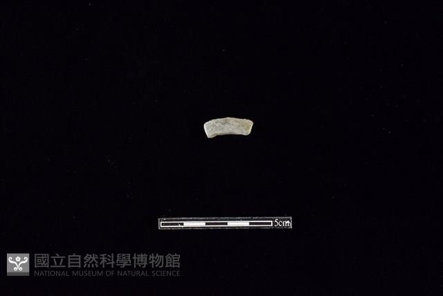 陶環藏品圖，第1張