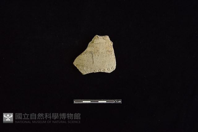 陶罐藏品圖，第1張