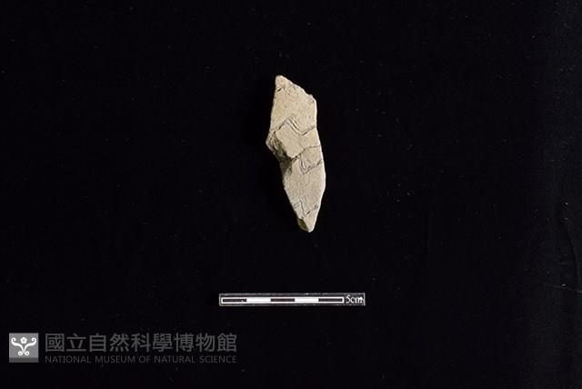 陶片藏品圖，第1張