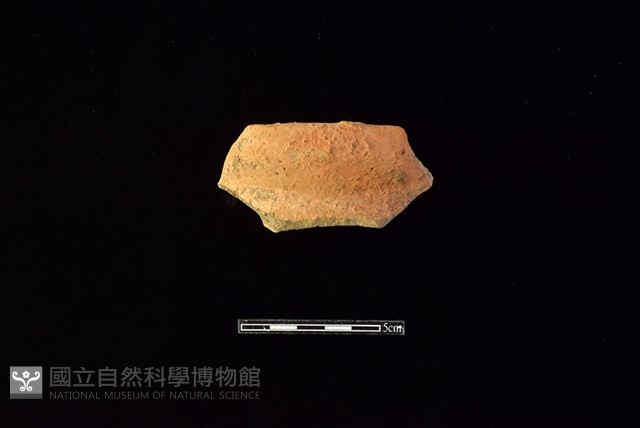 陶罐藏品圖，第1張
