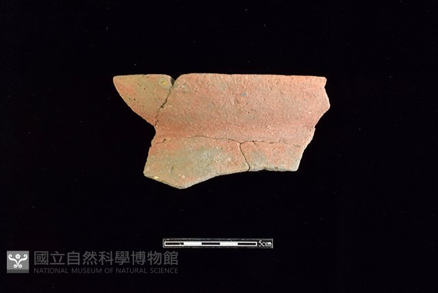 陶罐藏品圖，第1張