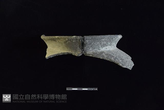 陶罐藏品圖，第1張