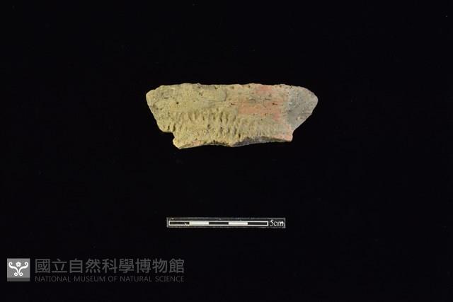 陶罐藏品圖，第1張