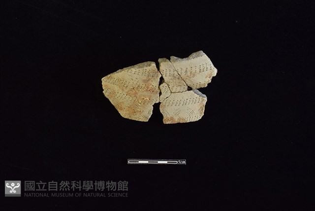 陶罐藏品圖，第1張