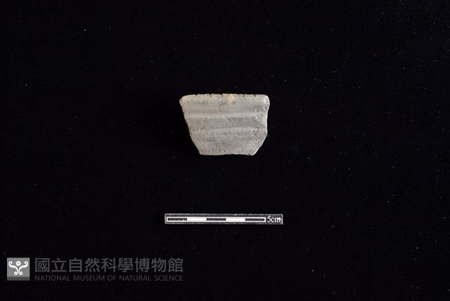 陶片藏品圖，第1張