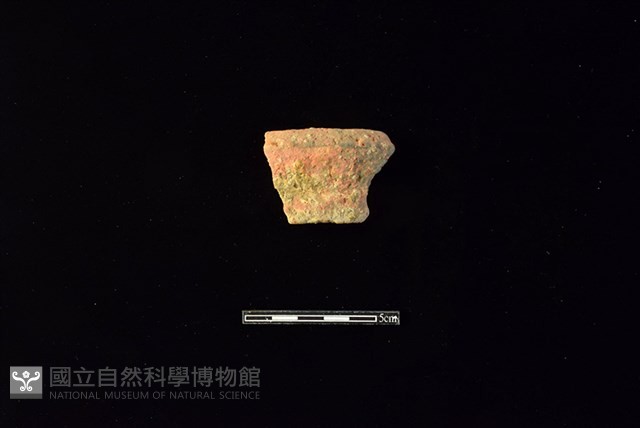 陶罐藏品圖，第1張