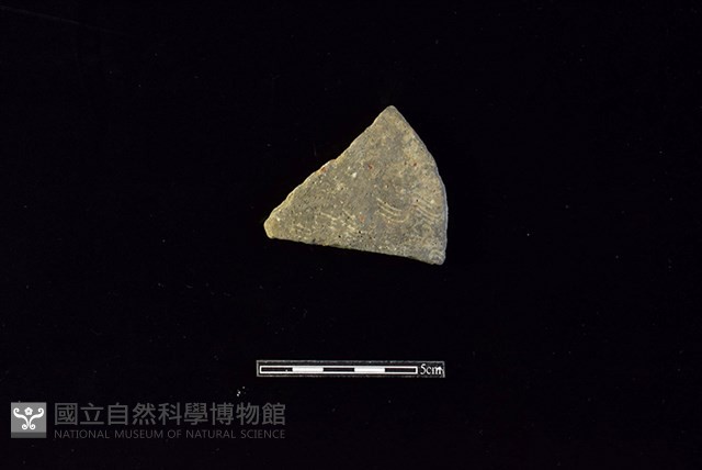 陶片藏品圖，第1張