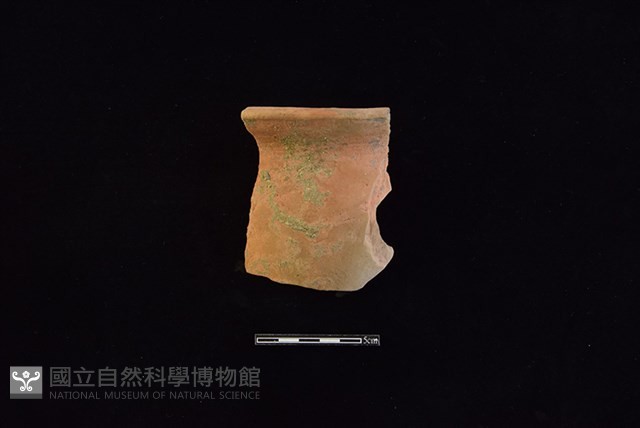 陶罐藏品圖，第1張